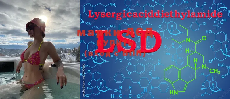 LSD-25 экстази кислота  Полярные Зори 